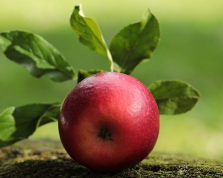 domača jabolka, dostava sadja in zelenajve po Sloveniji, dostava jabolk, dostava sadja, dostava zelenjave, domača jabolka, jabolka gala